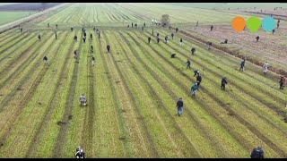 Detectorledenvereniging DDA houdt landelijke dag in Oldebroek [upl. by Abagail]