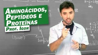 Química  Aminoácidos Peptídeos e Proteínas [upl. by Zippora649]