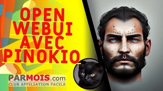 Open WebUI avec Pinokio [upl. by Crean]