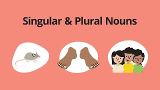 Singular amp Plural Nouns – English Grammar Lessons [upl. by Telfer405]