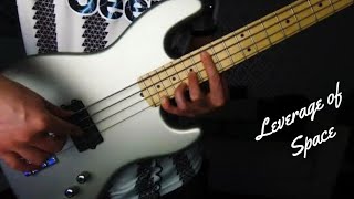 RHCP  Leverage Of Space  Bass Verse Part [upl. by Anilos]