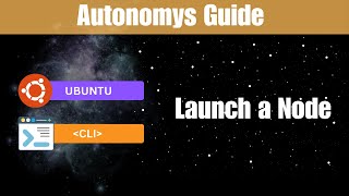 Autonomys  Ubuntu CLI  Node [upl. by Akimal]