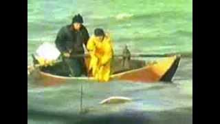 Pescatori al Trasimeno in un vhs degli anni 80 [upl. by Arimihc706]