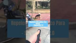 Repelente ultrasónico de perros evita mordidas [upl. by Madelena129]