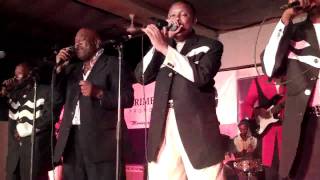 Msondo Ngoma music band live in action Michuzi Blog [upl. by Mila577]