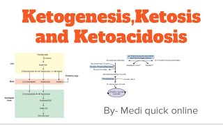 Ketogenesis Ketosis and Ketoacidosis  Lipid metabolism [upl. by Gnous]