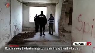 Report TV Nisin kontrollet antikanabis të Policisë së Shtetit aksion në sera stalla e magazina [upl. by Buck302]