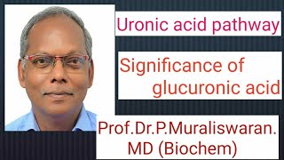 Uronic acid Pathway Muralis Simplified Biochemistry [upl. by Arehc]