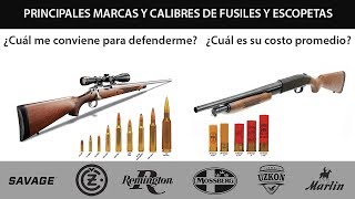 Fusiles y escopetas Principales marcas calibres y su precio en Argentina [upl. by Herries]