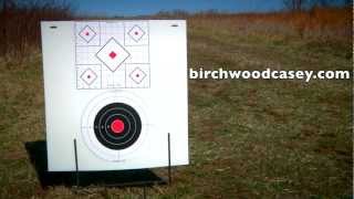 Birchwood Casey Stick A Bull Targets [upl. by Cychosz]