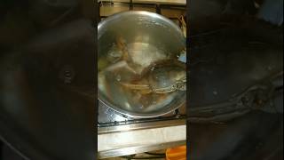 Come si cucinano i granchi blu  🦀shortvideo shorts [upl. by Nykal]