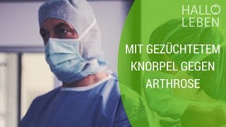 Knorpeltransplantation – neues Knie aus dem Labor [upl. by Hazlett888]