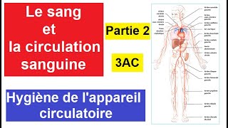 Le sang et la circulation sanguine chez lHomme  Partie2  Hygiène de lappareil circulatoire 3AC [upl. by Janaye]