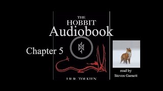 The Hobbit Chapter 5  audiobook  ASMR relax sleep [upl. by Nylg]