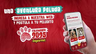 Postulaciones abiertas para el CALENDARIO DOGOURMET 2025 [upl. by Brier]