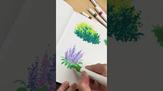 Acrylic Marker Drawing ft Lightwish 48 Color Set [upl. by Maurilia]