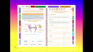 AQA GCSE PE Revision Course Synovial Joints [upl. by Yelda273]