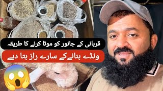 قربانی کےجانورکوموٹاکرنےکاونڈا عامربھائی نے ونڈابنانےکاطریقہ بتادیا ۔ wanda Banane Ka tarika [upl. by Roxie]