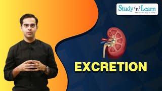 Excretion  Renal Failure and Dialysis  Excretory System in Human  Disorder of Kidney [upl. by Atin]