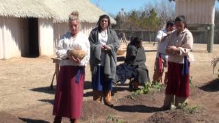 Chickasaw Nation The Story of the Three Sisters [upl. by Oisangi330]