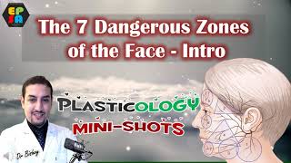 Plasticology  The 7 Facial Danger Zones  Intro [upl. by Uttica978]