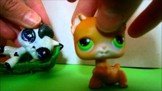 LPS music video Never to be finished [upl. by Aguie]