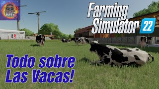 Todo sobre las 🐮 VACAS 🐮  Tutorial Farming Simulator 22  COMO PREPARAR RACIÓN MEZCLA 🐄 [upl. by Mutua374]