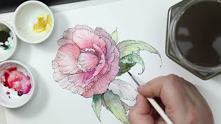 Ink amp Watercolor Peony Painting Process [upl. by Jessa140]