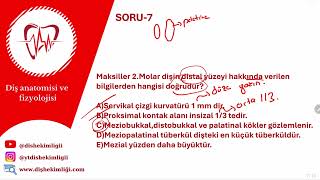 15MAKSİLLER 2MOLAR SORU ÇÖZÜMÜ [upl. by Analos335]