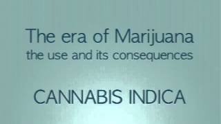 MATERIA MEDICA CANNABIS INDICA AUDIO [upl. by Angie113]