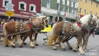 15Brauereiwagen Zwiesel 17Juli 2016 [upl. by Aicemed18]