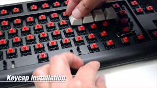 Cherry MX Sound Dampener Installation [upl. by Coleen]