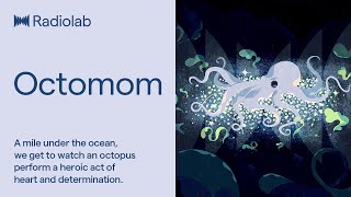 Octomom  Radiolab Podcast [upl. by Amersham]