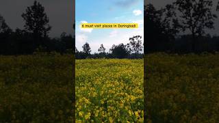 6 must visit places in Daringbadi Kandhamal odisha travel daringabadi touristplacesodisha [upl. by Semajwerdna]