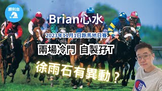 兩場冷門，自製孖T，徐雨石有異動﹗2023年11月1日跑馬地夜賽Brian心水 [upl. by Yatnoj]