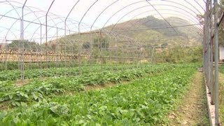 Hong Kongs growing appetite for organic [upl. by Mazurek]