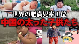 【ゆっくり解説】ハイパー肥満児が爆増…おデブな中国の子供の闇をゆっくり解説！ [upl. by Ainosal]