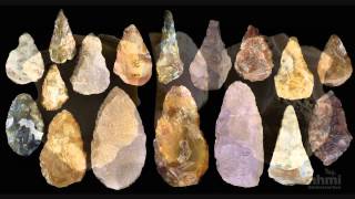 Stone Tool Technology of Our Human Ancestors — HHMI BioInteractive Video [upl. by Belicia]