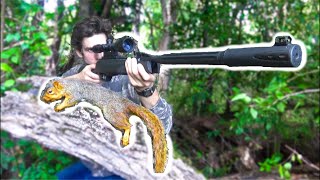 Squirrel Hunting with 22 Break Barrel Air Rifle [upl. by Rudd]