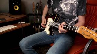 Organek  Kate Moss Guitar Cover [upl. by Hershel526]