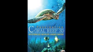 Official Trailer  FASCINATION CORAL REEF 3D  MYSTERIOUS WORLDS UNDER WATER 2012 [upl. by Nylak]