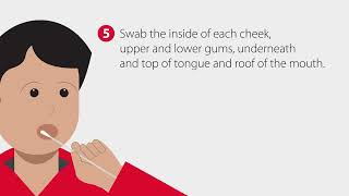 How to Collect a Buccal Swab Sample  StepbyStep Guide [upl. by Hesta]