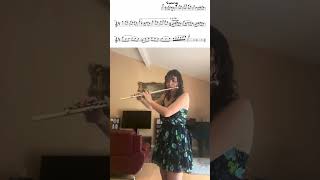 Tangled quotKingdom Dancequot Flute Cover [upl. by Ahseela834]