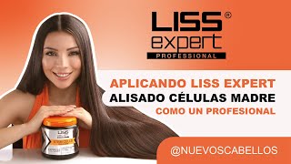 Tutorial profesional APLICACIÓN del Alisado CÉLULAS MADRE LISS EXPERT logra el mejor acabado ✨ [upl. by Daisie]