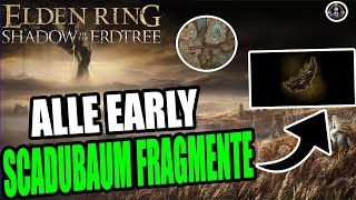 ALLE EARLY SCADUBAUM FRAGMENTE SHADOW OF THE ERDTREE GUIDE [upl. by Oramug]