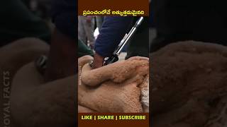 Worlds Finest Natural Fibershortvideo factsintelugu youtubeshorts [upl. by Antons477]