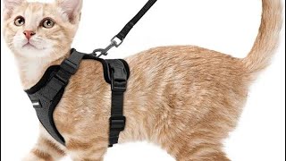 Rabbitgoo Cat Harness and Leash for Walking Escape Proof Soft Adjustable Vest Harnesses for Cat [upl. by Fogel]