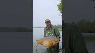 belle carpe de fin de saisonpêche sportex kryston invictus nokill graviere carpfishinglife [upl. by Aihsei]