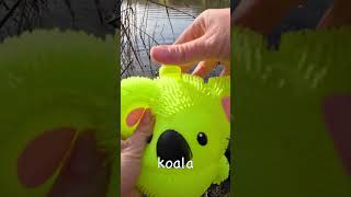 Learn Animal Names at the Pond for Kids  Ed bot TV 100000 Subs Special [upl. by Araek]