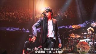 LUNA SEA IN SILENCE 中日字幕 [upl. by Elman]